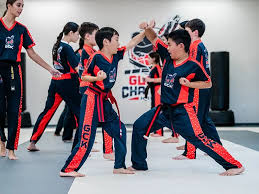 Image result for Highgate Martial Arts Academy