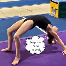 Image result for Appley Bridge Gymnastics Club