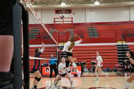 Image result for Reading Aces Volleyball Club