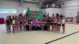Image result for Abingdon Gymnastics Club