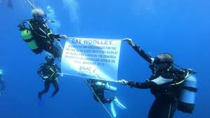 Image result for World Divers