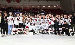 Image result for Demons Skater Hockey Club