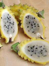 Attēlu rezultāti vaicājumam “Cynosurus cristatus fruit”