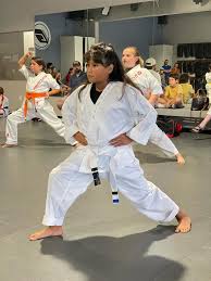 Image result for Northern Freestyle Karate Association