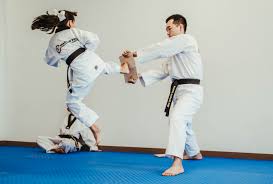 Image result for Park's Martial Arts