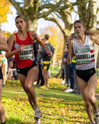 Image result for Salford Harriers