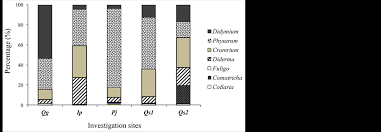 Attēlu rezultāti vaicājumam “Diderma simplex macro”