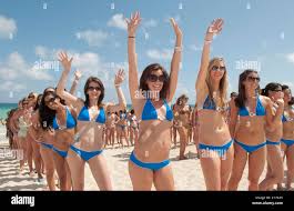 Image result for south beach models