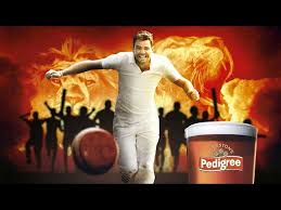 Image result for Brewood Cricket Club