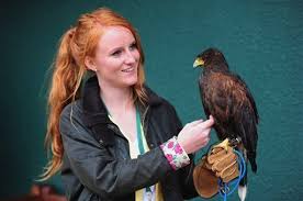 Image result for Wimbledon Hawks