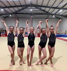 Image result for Huntingdon Gymnastics Club
