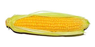 Image result for Mais