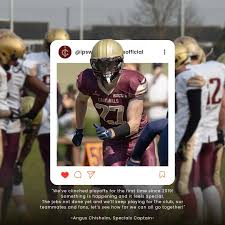 Image result for Ipswich Cardinals American Football Club