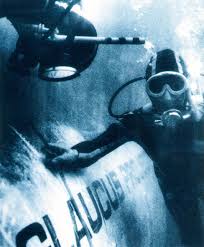 Image result for Plymouth Aquanauts