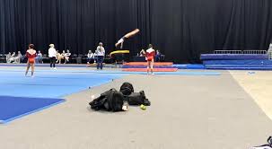 Image result for Tamworth Olympic Gymnastics Club
