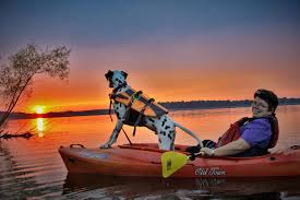 Image result for Castle Hill Canoe and Kayak Club