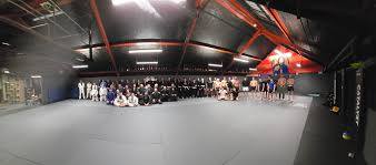 Image result for Farnham Kung Fu Club