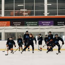 Image result for Demons Skater Hockey Club