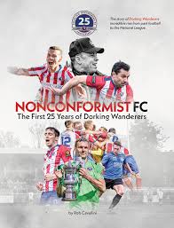 Image result for Dorking Wanderers F C