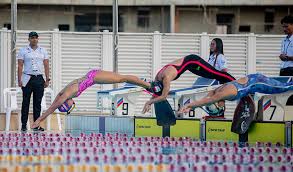 Image result for Swansea Finswimming Club