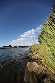 Image result for Riverside Sac