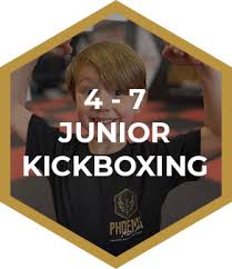 Image result for Phoenix Kick Boxing Club