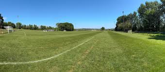 Image result for Brading Town Football Club