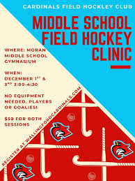 Image result for Wallingford Hockey Club