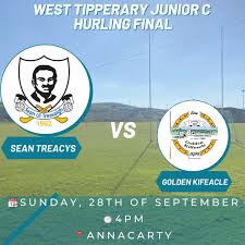 Image result for Sean Treacy`s Hurling Club