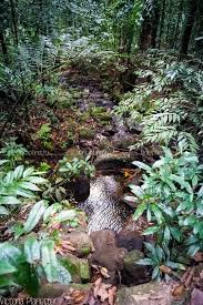 Image result for синхараджа