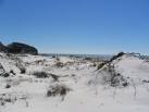 Cape San Blas Vacation Rentals in Barrier Dunes, FL Panhandle Pet ...