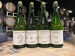 Attēlu rezultāti vaicājumam “Diderma spumarioides young”