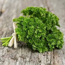 Image result for Petersilie