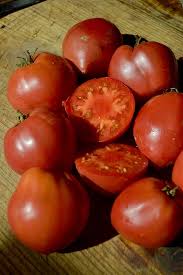 Afbeeldingsresultaat voor anna russian tomato