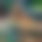 Image result for Nyotaimori