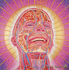 Image result for Alex gray