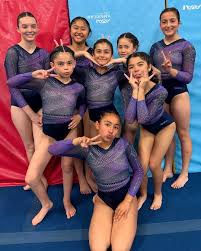 Image result for Custom Gymnastics Club