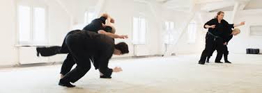 Image result for Ryuko Dojo