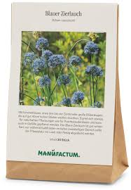 Image result for Zierlauch