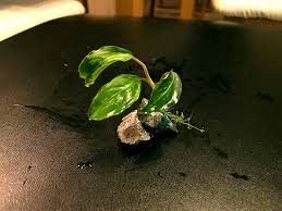 Image result for 201205.html#201205031