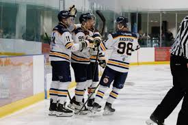 Image result for Romford Raiders