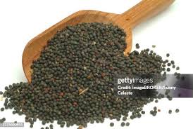 Attēlu rezultāti vaicājumam “Brassica napus fruit”