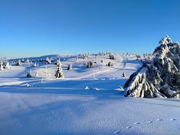 Image result for Scandinavian slope and cross country skiing