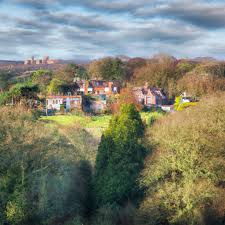 Image result for Surrey Heath Slammers