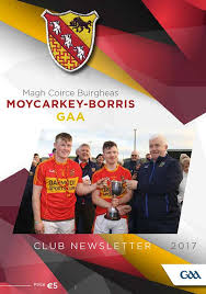 Image result for Moycarkey-Borris Gaa Club
