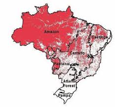 Image result for Brazilia 1980 Jaguar