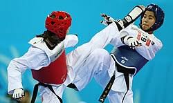 Image result for ENGLISH INTERNATIONAL ALLSTYLES TAEKWONDO