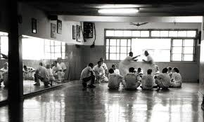 Image result for Capoeira Senzala Grantham