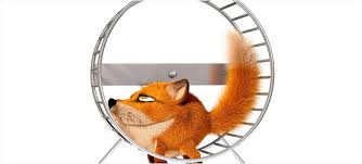 Картинки по запросу белку зажевало в диск