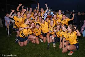 Image result for Clarehurlers